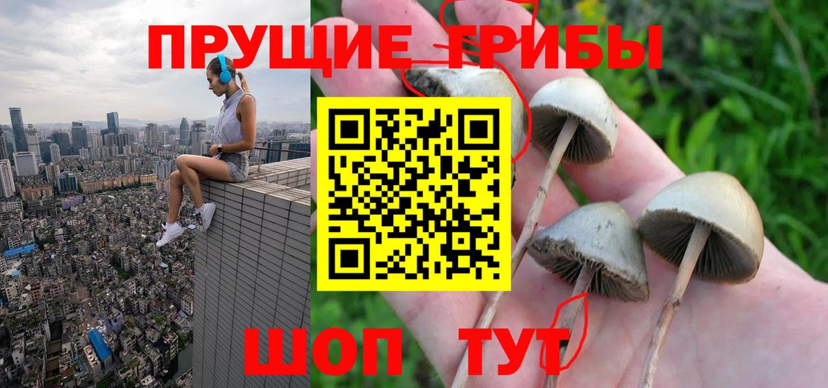 даркнет сайт  Псилоцибиновые грибы ЛСД  Галлюциногенные грибы Psilocybine cubensis  Вход с VPN  Железноводск 
